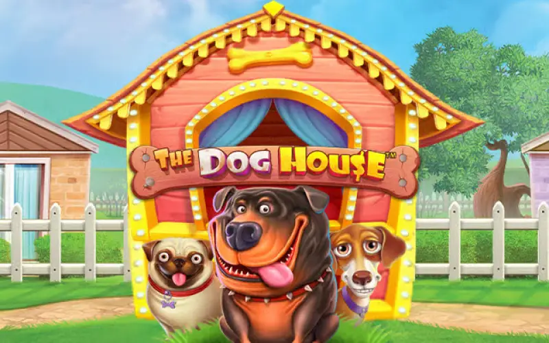 Divirta-se com The Dog House entre os principais jogos da Bet365.
