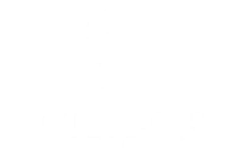 Veja a marca em destaque na UEFA Champions League pelas parcerias da Bet365.